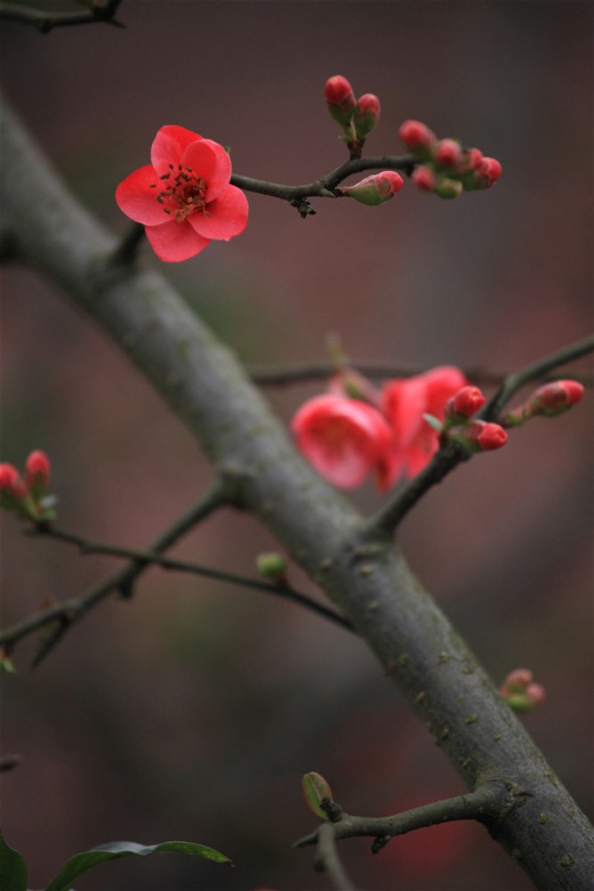 2��8�ճǶ������������� (12).JPG