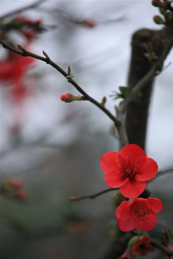 2��8�ճǶ������������� (13).JPG