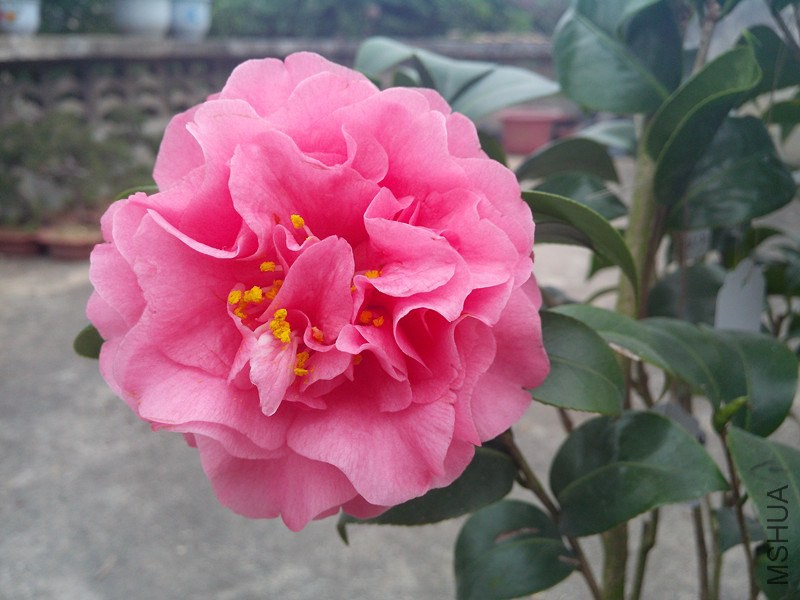 IMG_20150130_090043.jpg