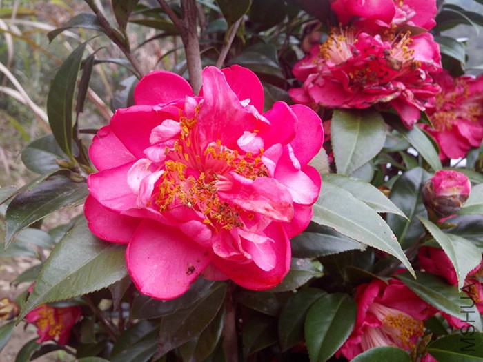 IMG_20130209_102010.jpg