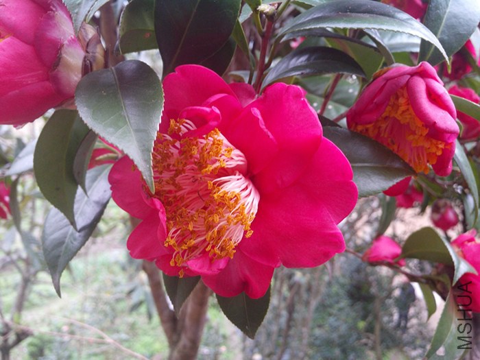 IMG_20130209_102043.jpg