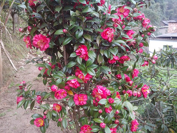IMG_20130209_102000.jpg