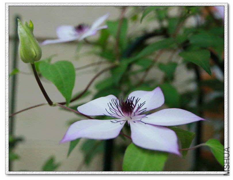 2015021005.jpg