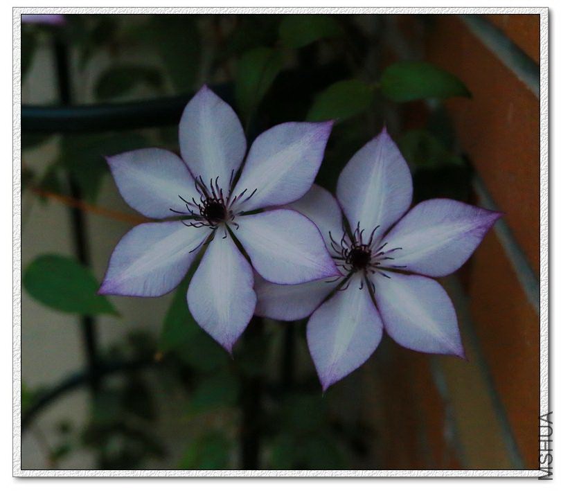 2015021004.jpg
