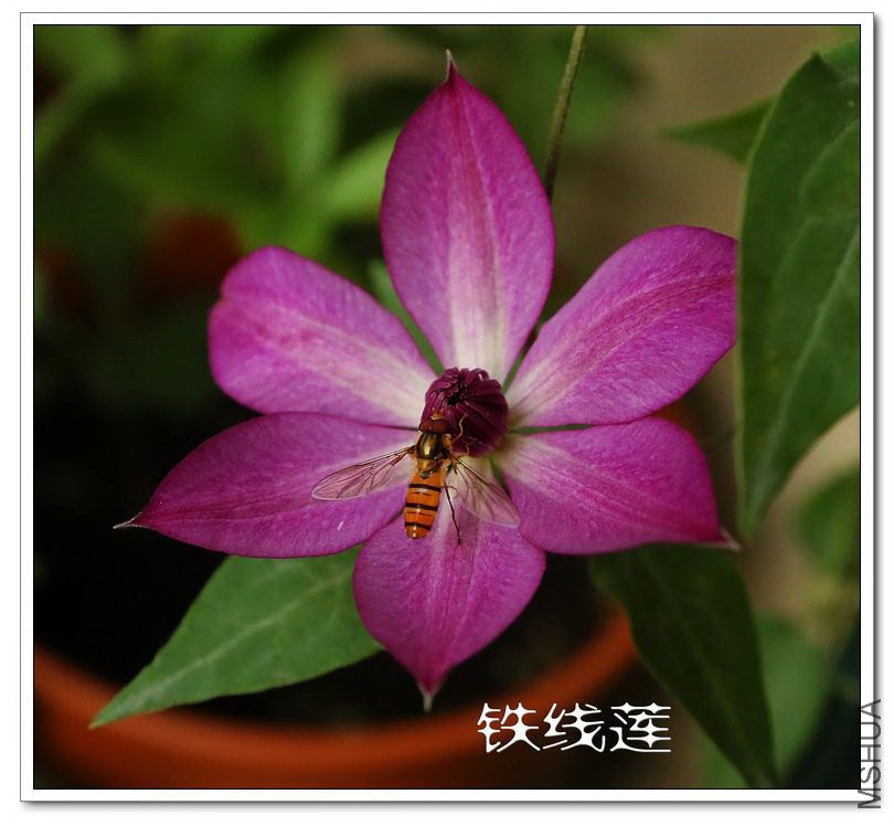 2015021001.jpg