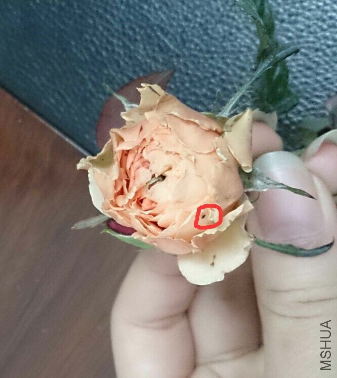 QQͼƬ20150210163511.jpg