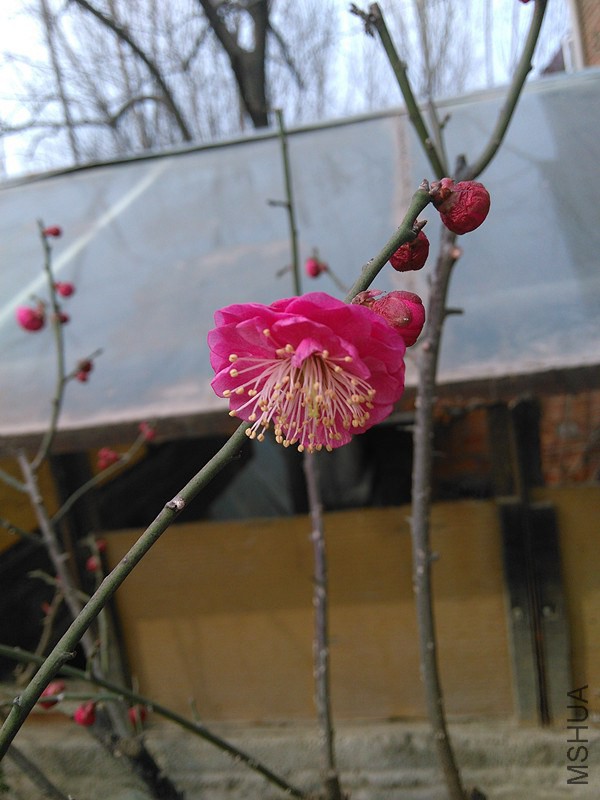 IMG_20150210_120139.jpg