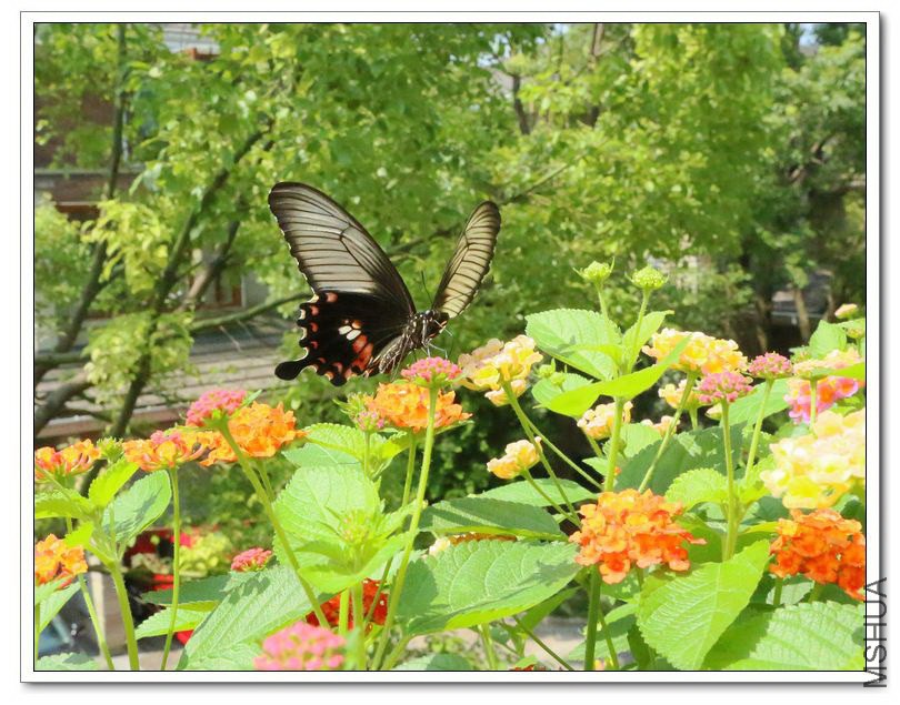2013062103.jpg