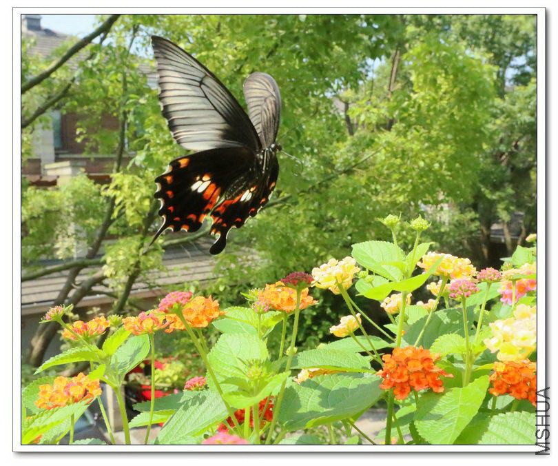 2013062104.jpg