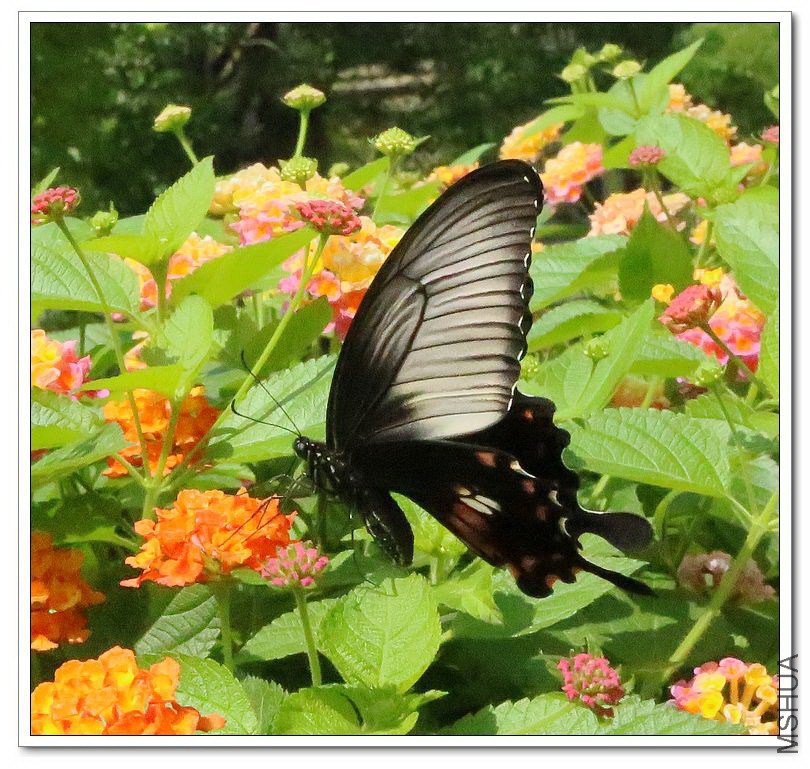 2013062106.jpg