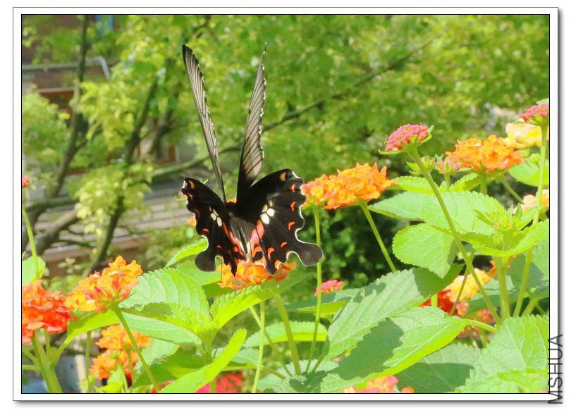 2013062110.jpg
