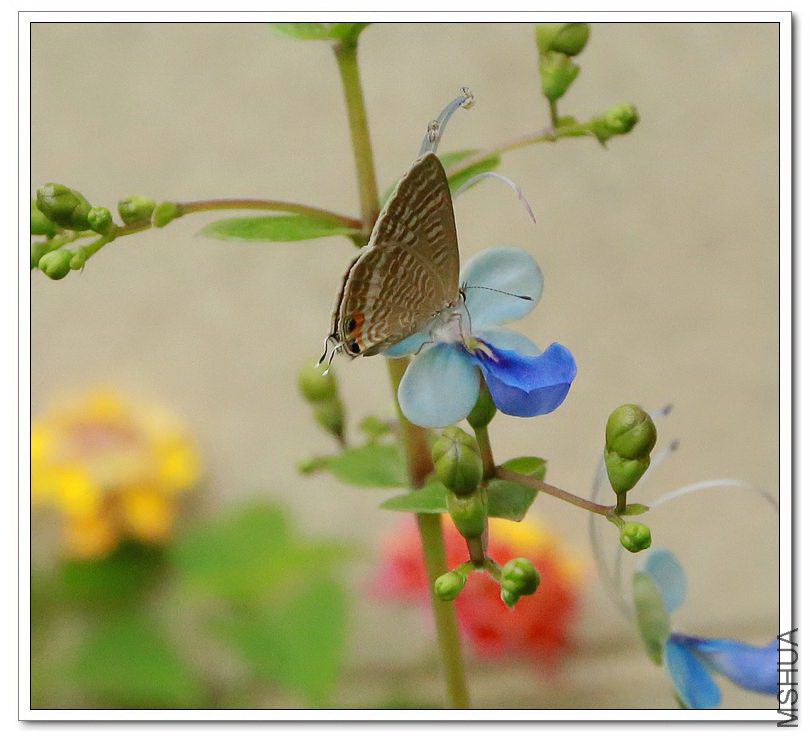 2013090704.jpg