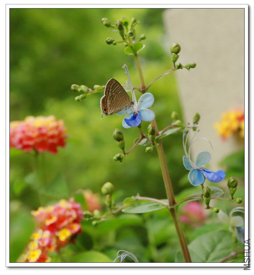2013090705.jpg