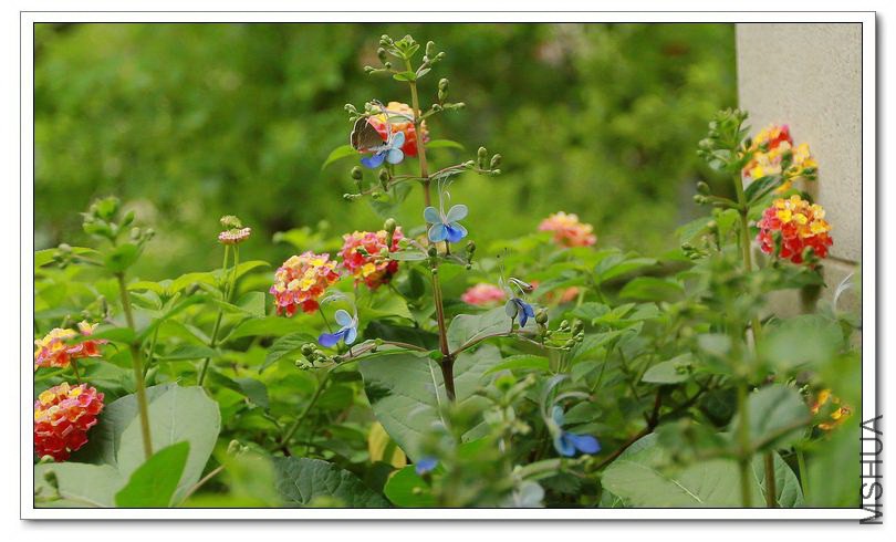 2013090706.jpg