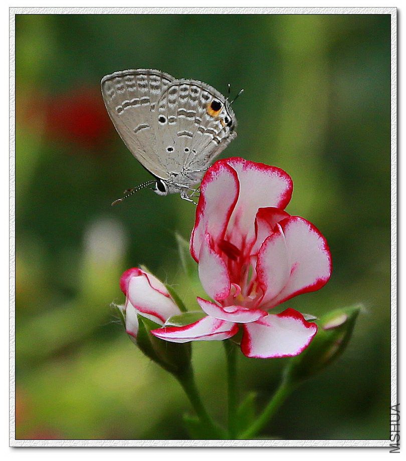 2013092804.jpg