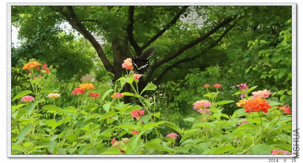 2014081504.jpg