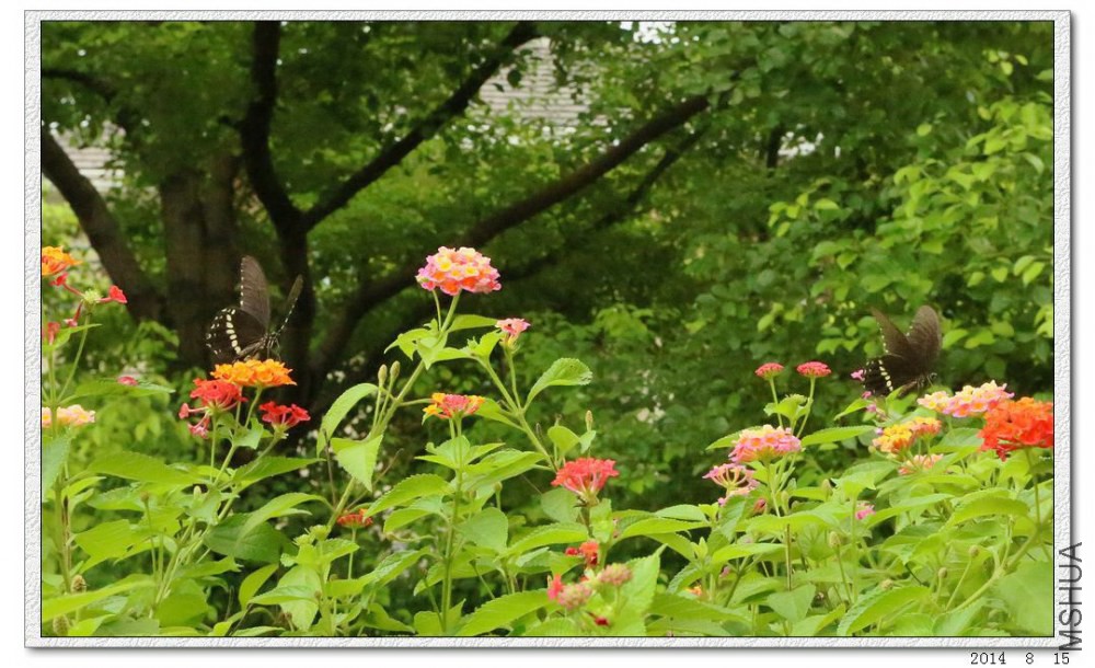 2014081508.jpg
