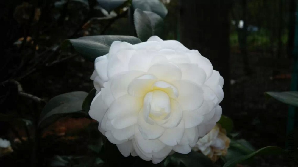 psb (81).jpg