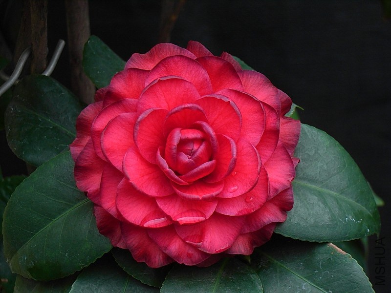 1.����-2.JPG