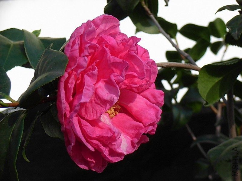 2.ĵ���ʺ�-3.JPG
