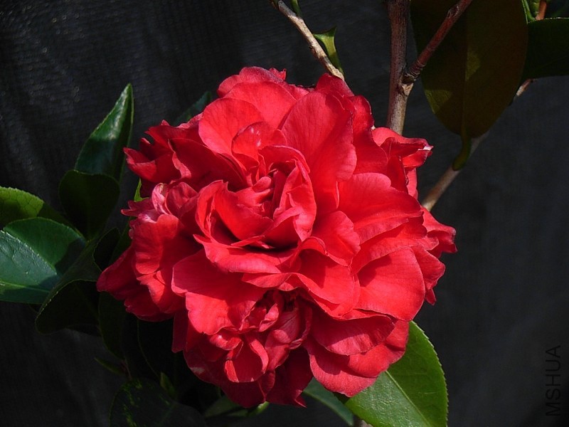 3-ħ�g��-2.JPG