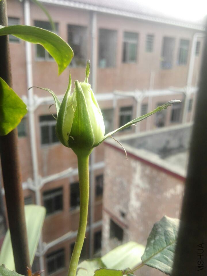 QQͼƬ20150211111421.jpg