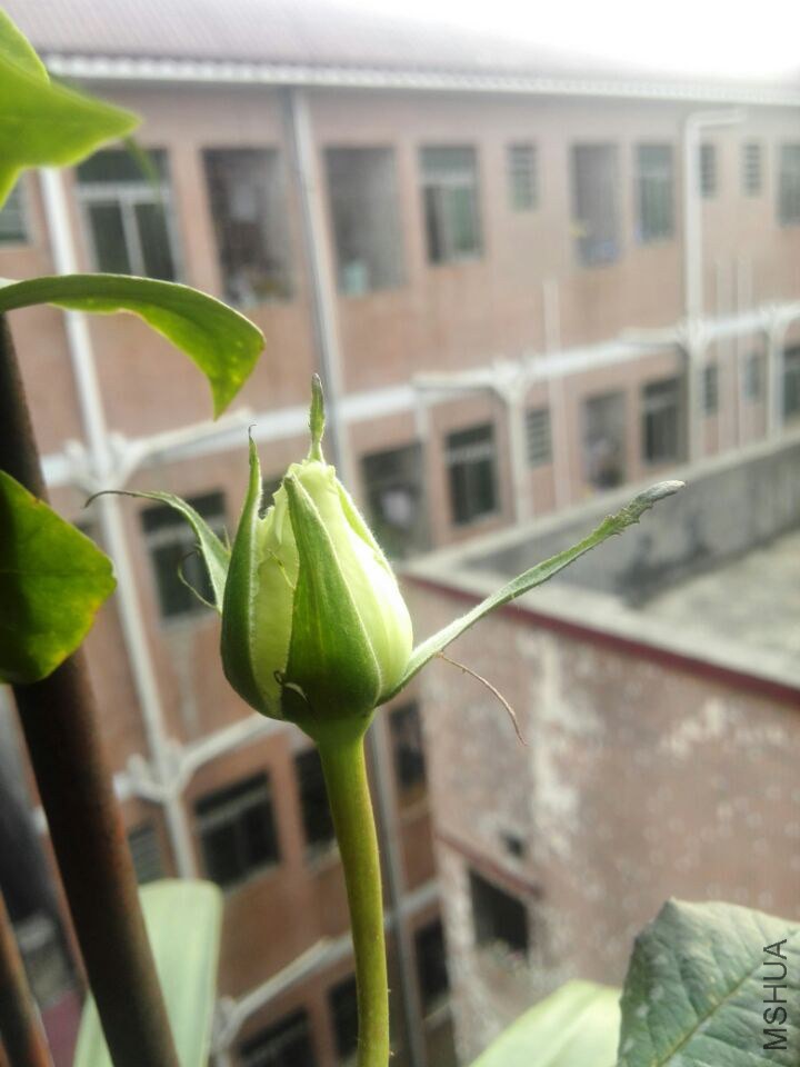 QQͼƬ20150211111418.jpg