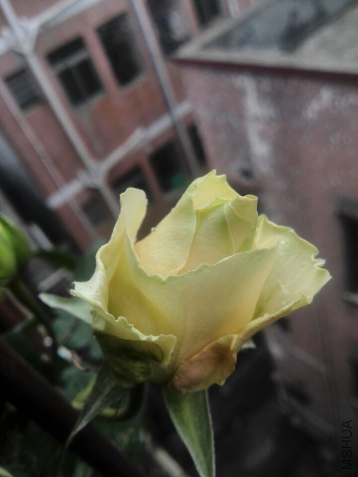 QQͼƬ20150211111415.jpg