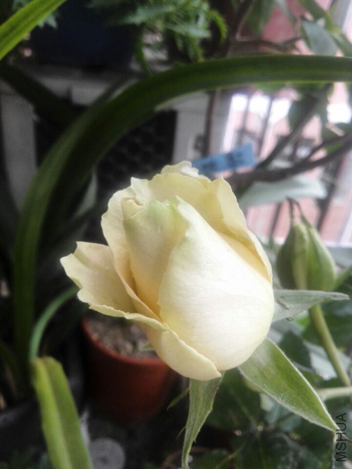 QQͼƬ20150211111340.jpg