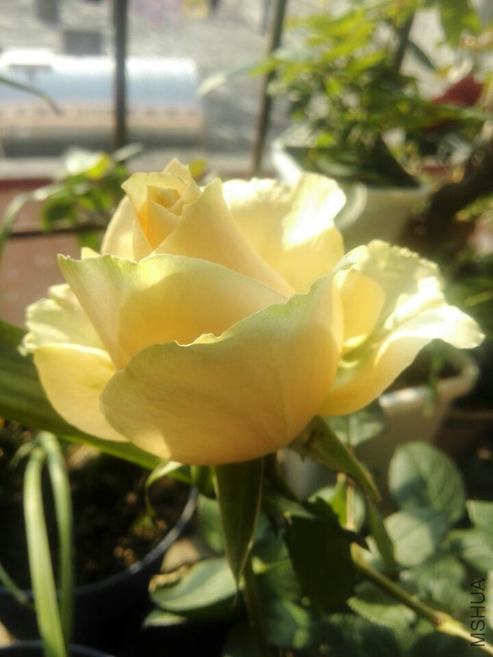QQͼƬ20150211111332.jpg