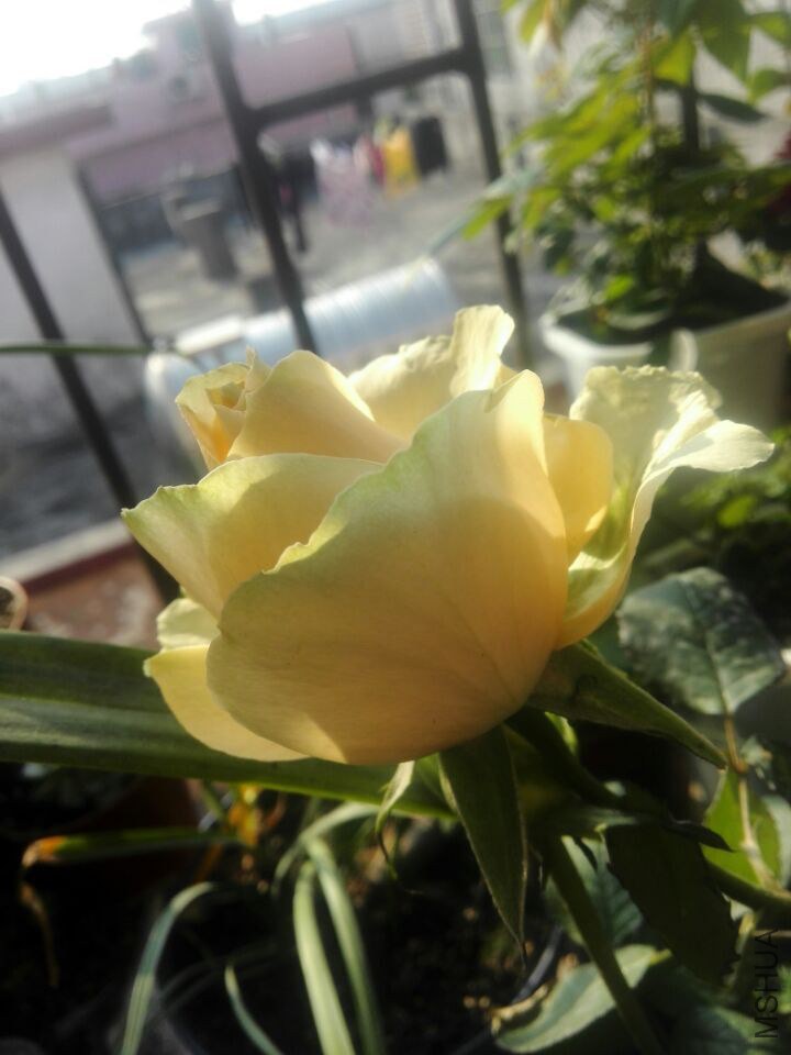 QQͼƬ20150211111354.jpg