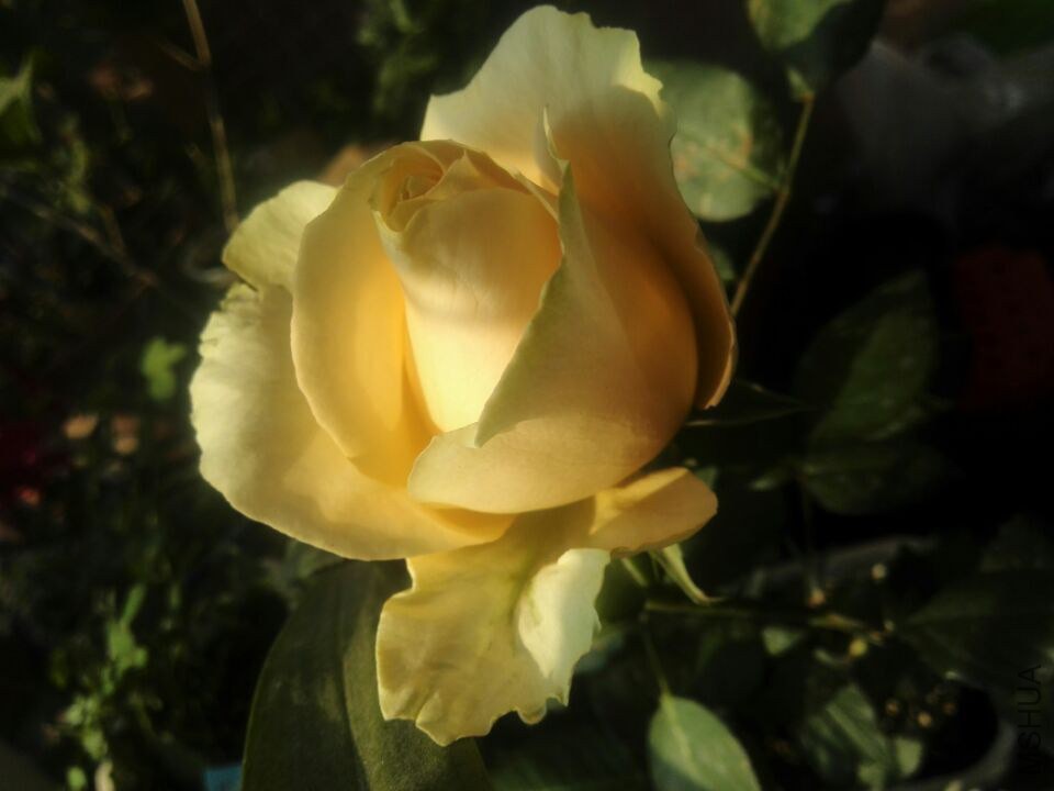 QQͼƬ20150211111409.jpg