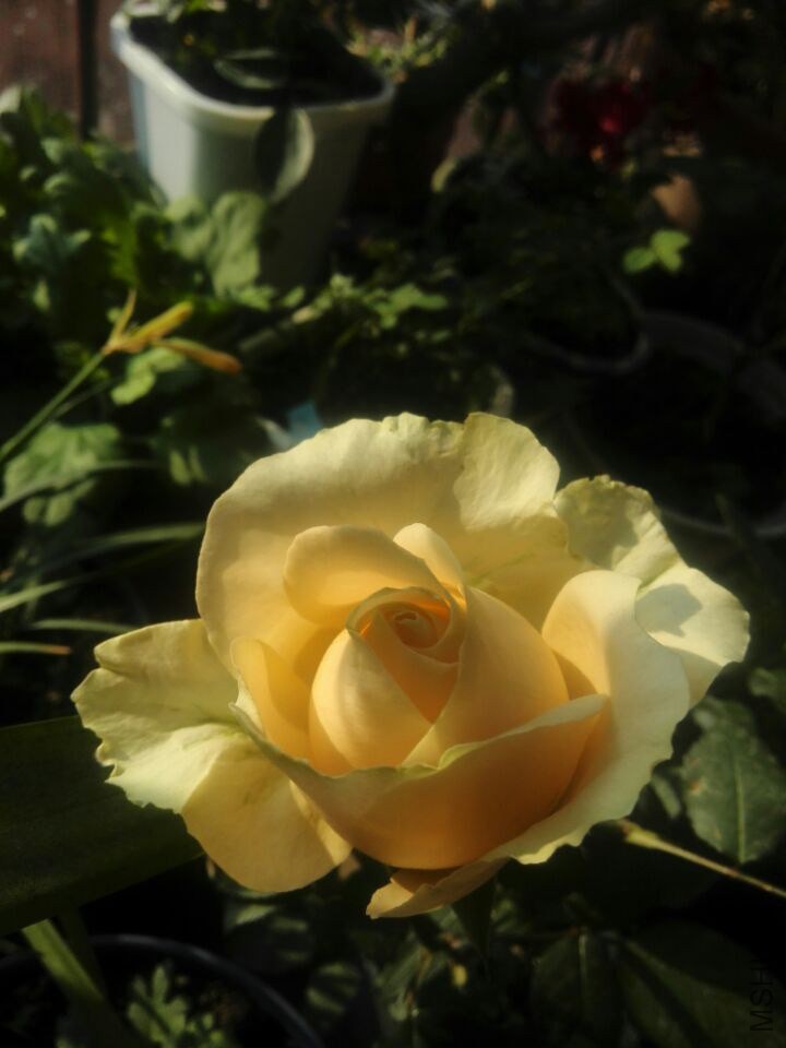 QQͼƬ20150211111412.jpg