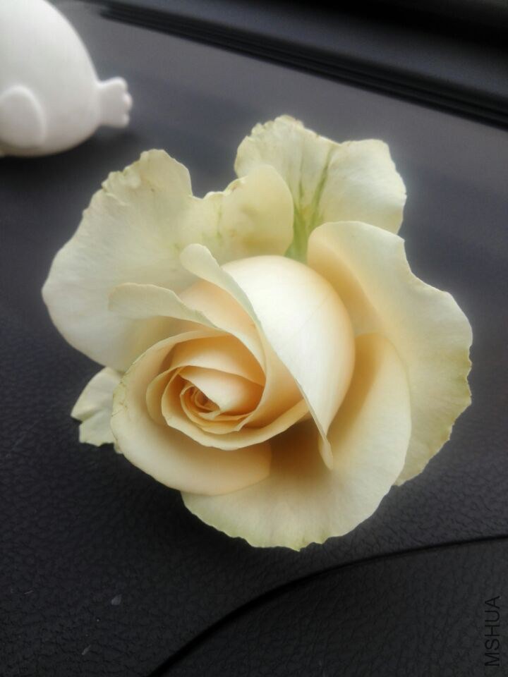 QQͼƬ20150211110524.jpg