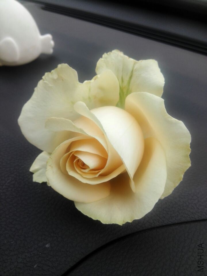 QQͼƬ20150211110545.jpg