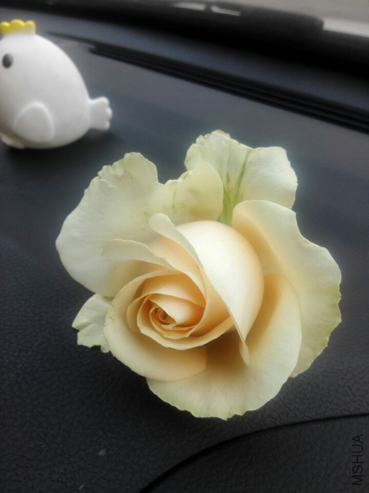 QQͼƬ20150211110549.jpg
