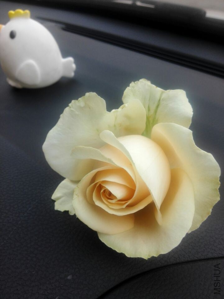 QQͼƬ20150211110552.jpg