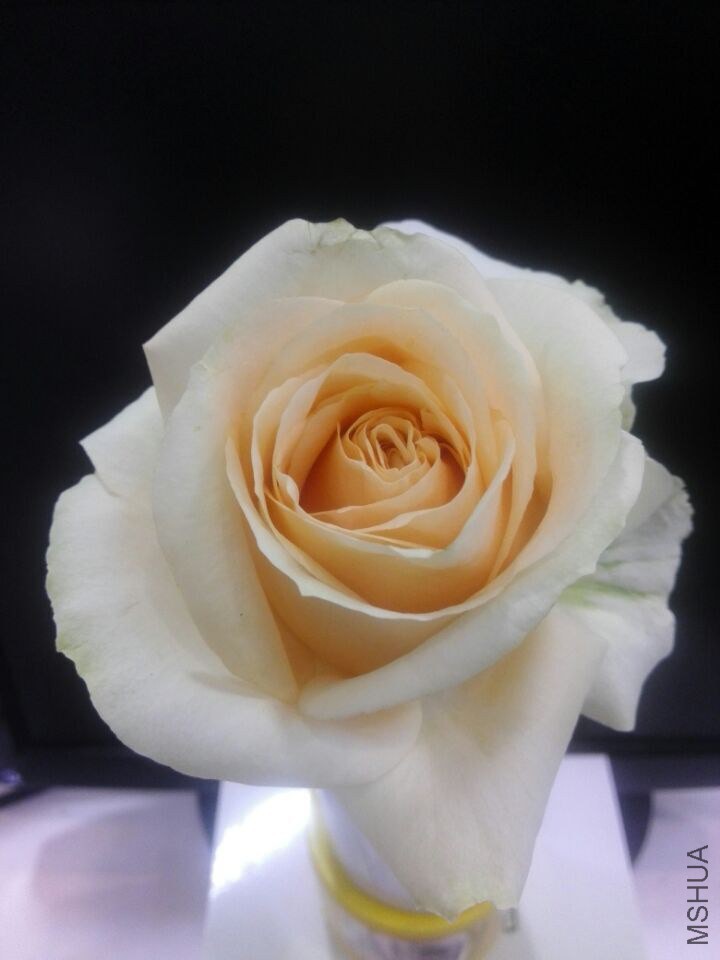 QQͼƬ20150211110536.jpg
