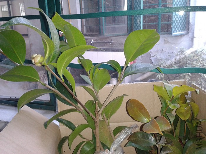 2015-02-11 11.15.13.jpg