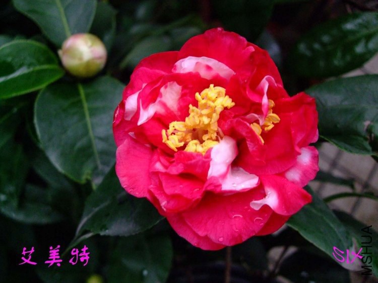 ������ 10-3-8 (2).jpg