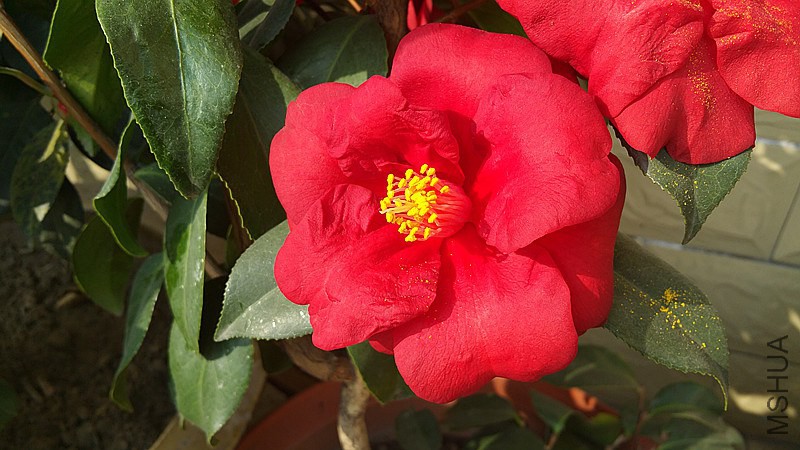20150211_144308_����.jpg