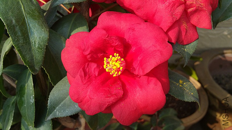 20150211_150330_����.jpg