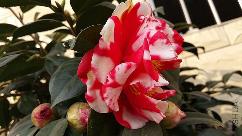 20150211_151841_����.jpg