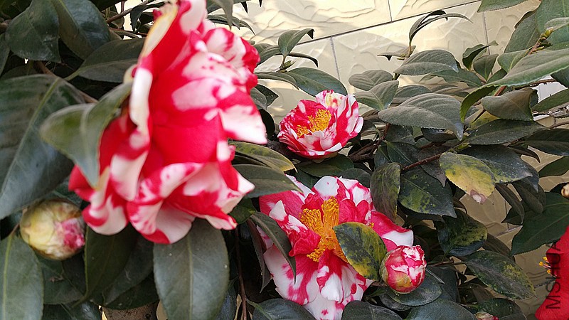 20150211_152154_����.jpg