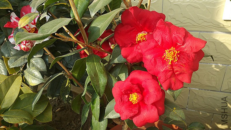 20150211_144250_����_����.jpg