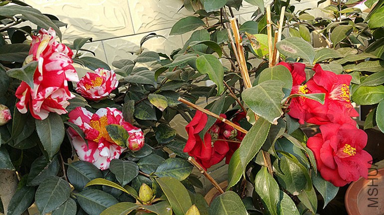 20150211_152204_����_����.jpg