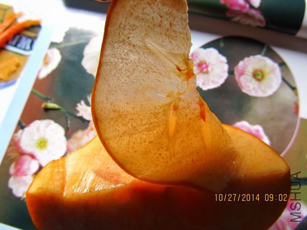 IMG_1546.jpg