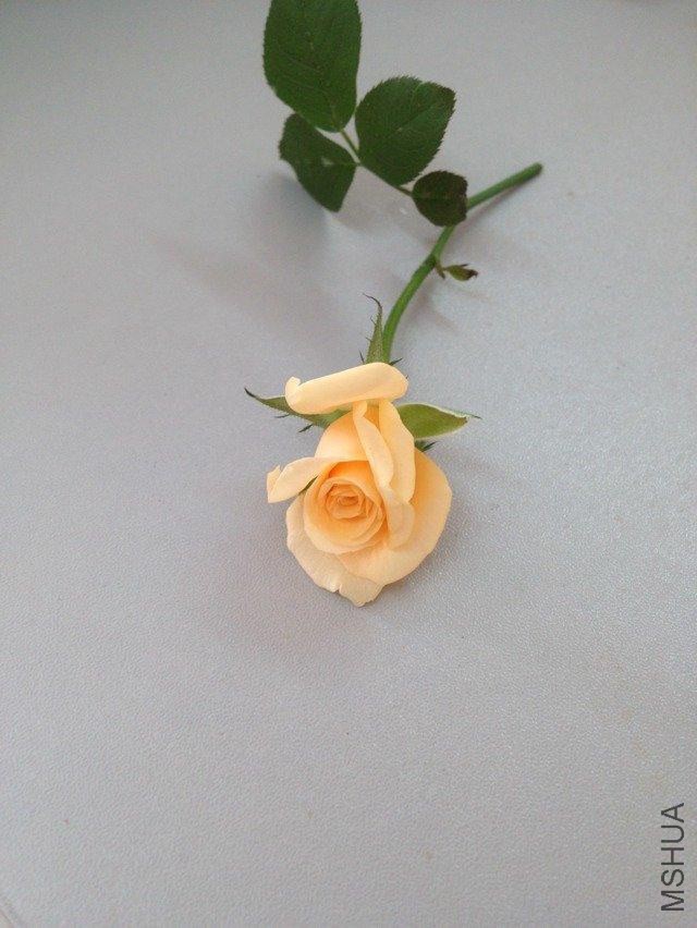 ����ѩɽ.jpg