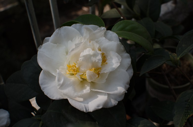 DSC_0002-2.jpg