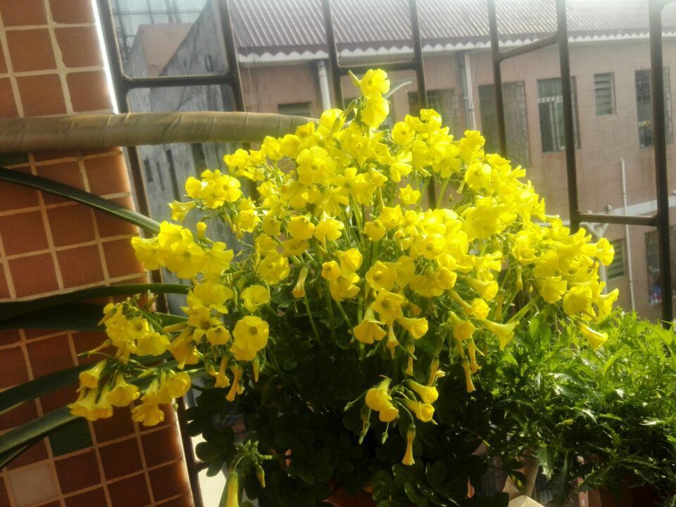 QQͼƬ20150212130440.jpg